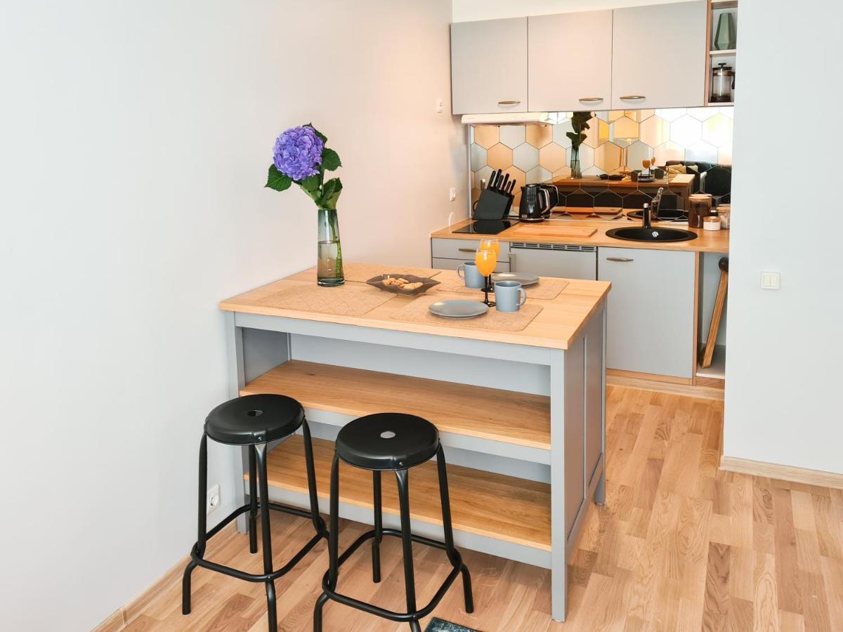 Ohtu Poik 2 City Center Basement Apartment Pärnu Exteriér fotografie