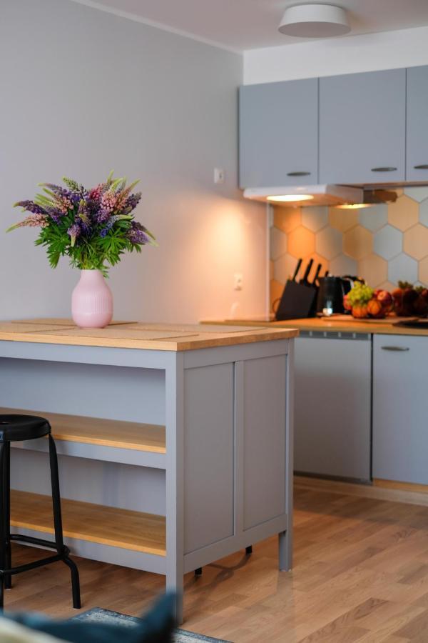Ohtu Poik 2 City Center Basement Apartment Pärnu Exteriér fotografie