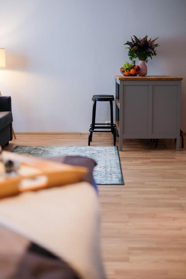 Ohtu Poik 2 City Center Basement Apartment Pärnu Exteriér fotografie